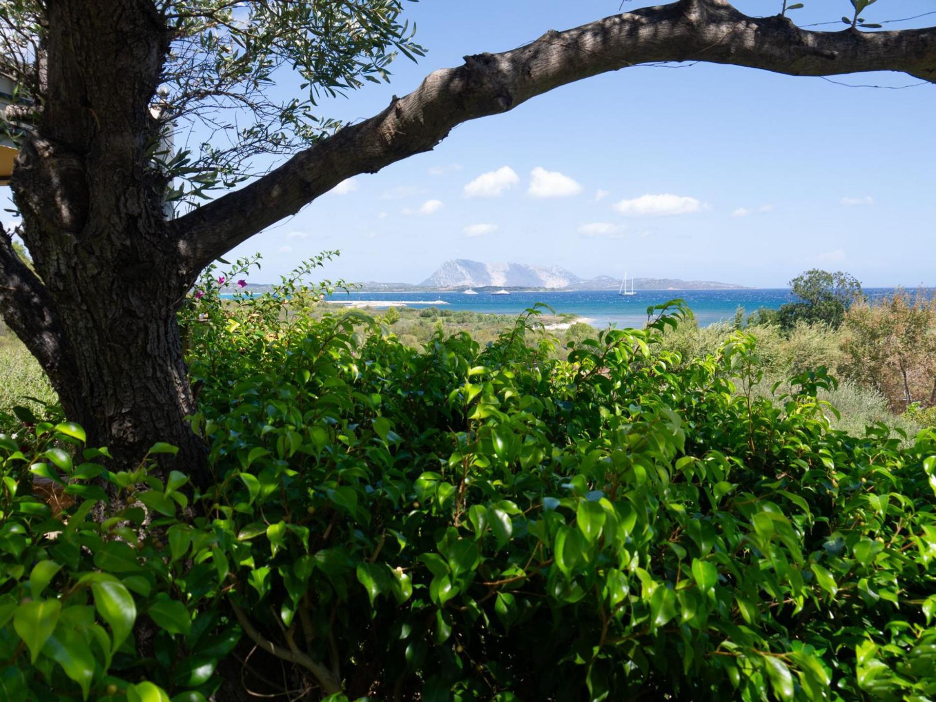 Villa Minda Lodge & View San Teodoro  Bagian luar foto